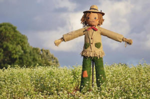 scarecrow in field - does it scare crows?